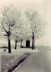 FoPo 013 
